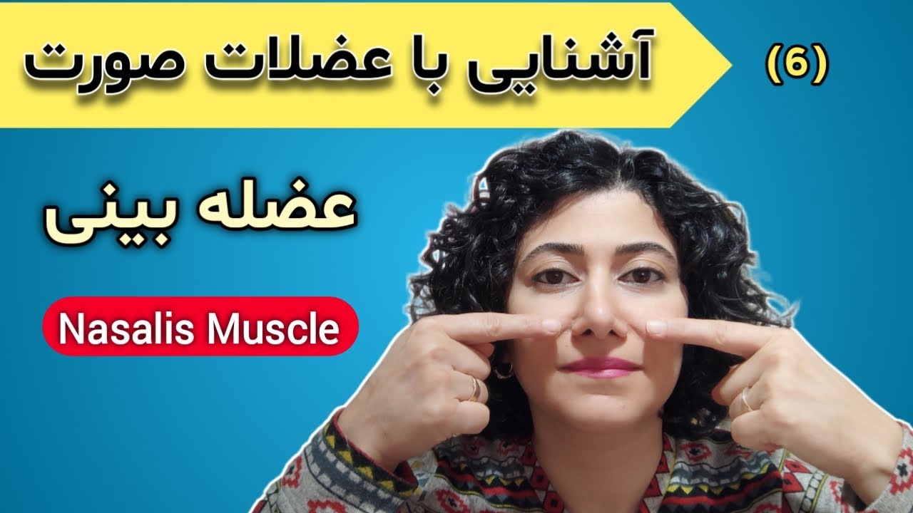 فرم دهی و کنترل پهنای بینی / Nasalis Muscle