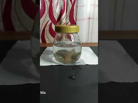 WEATHERING OF ROCKS EXPERIMENT [Experiment 2: How Rocks Turn Into Soil]