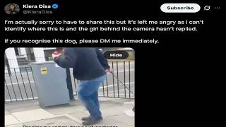 How I tracked down an animal abuser using OSINT