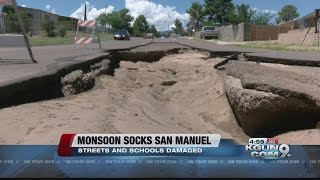 Monsoon Socks San Manuel