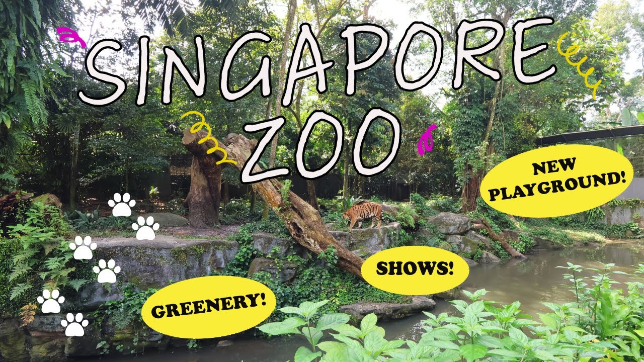 Singapore Mandai Zoo with toddlers 🦒🦓🛝🍃 greenery and new playground