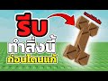 บ ค เพ มเลเวลส ตว เล ยงแบบรวดเร วท ส ด Grow A Garden บ ค เพ มเลเวลส ตว เล ยงแบบรวดเร วท ส ด Grow A Garden