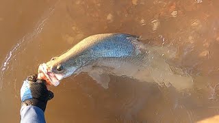 LANDBASED BARRAMUNDI - Pilbara Barramundi Fishing