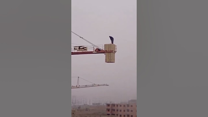 سبحان الله شي حاجه ما طيحش عليكم على البال سبحان الله