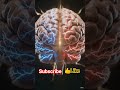 #subscribe #brain#thinking#like #science#education#ytshorts#trendinf#motivation#reels#viral#viral