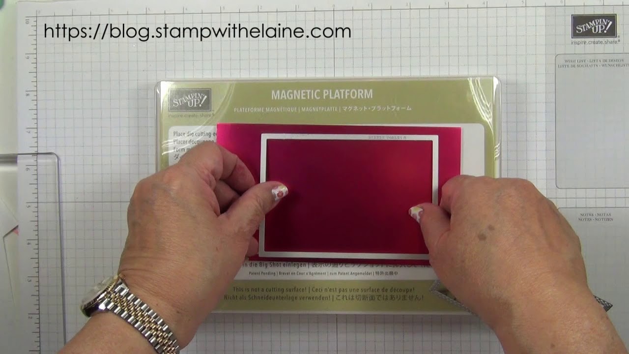 558 23 01 19 Flowering Desert    Rectangle Stitched Framelits