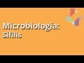 Sífilis - Microbiología - Educatina