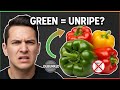 The Truth About Green Bell Peppers: Unripe Fruit, Bitter Taste, & Nutrition Facts Debunked