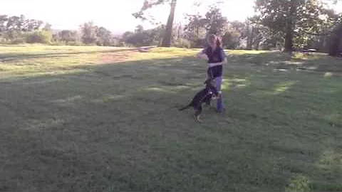 Agnes Ball Play
