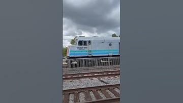 Amtrak Pacific Surfliner train meet #train #railfan #amtrak