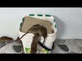 プラスチックバケツで作る最高のネズミ捕り / プラスチックバケツを使った安全なネズミ捕り