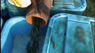 ETEC`s Harvest Pump.wmv