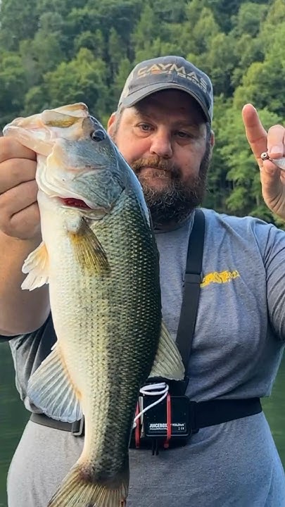 are uptempos true to size