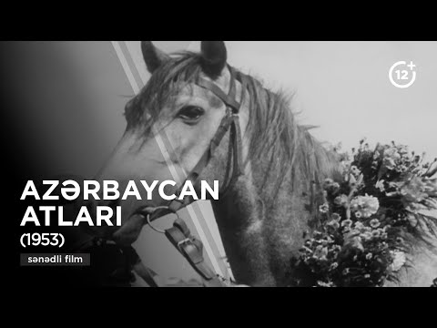 Video: Marat Niyə Hamamda Öldü: Neoklassizmin Ən Böyük Sirri və İnqilabçı Xəstəliyin Sirri
