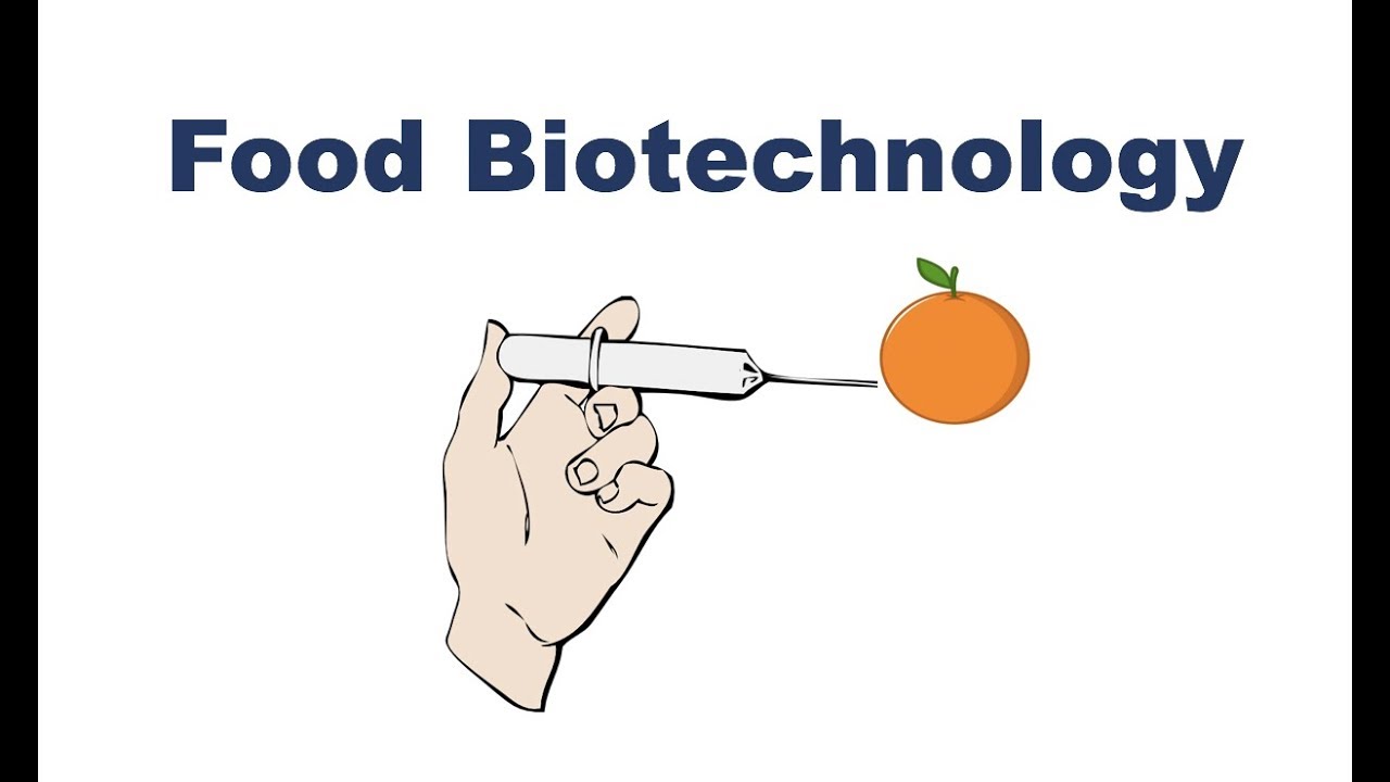 What is Food Biotechnology? YouTube