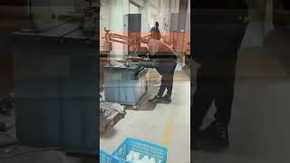 #TPEExtrusion #PlasticCup #Thermoforming #PlasticMachine #ProductionLine