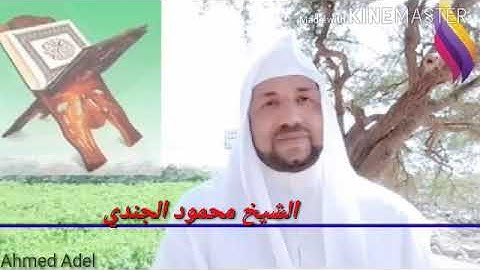 من أجمل التلاوات الهادئة سورة يوسف من الاية (٢٢:١) الشيخ محمود الجندي