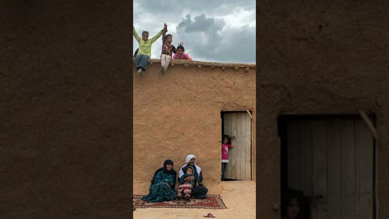 #عارف_الداودي موال جديد عارف داودي عازف الطمبوره محمود داودي استوديو فنان شكر شبكي