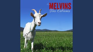 Video thumbnail of "Melvins - Dogs and Cattle Prods"