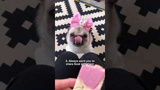 Things that are CUTE when DOGS do it, but are ANNOYING when HUMANS do it! 🤦‍♀️😂 #pug #dog