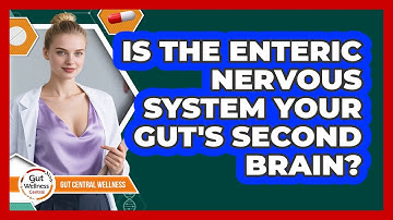 Is The Enteric Nervous System Your Gut