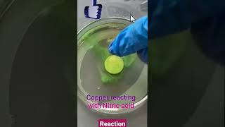 Reaction of nitric acid with copper #shorts #viral #ytshorts @Magicalsciences