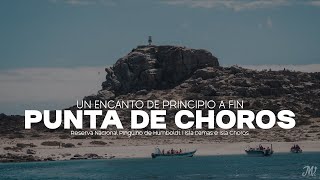 Punta de Choros, un encanto de principio a fin | Reserva Nacional Pingüino de Humboldt | Isla Damas