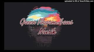 Alec Benjamin - Let Me Down Slowly (Drushtii Reggae Remix) 2023