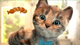 Little Kitten Adventure Game | Fun Pet Care Game for Kids | Come to My Costume Party