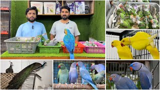 Multan Sunday Birds Rasheedabad latest Update I 19 May 2024