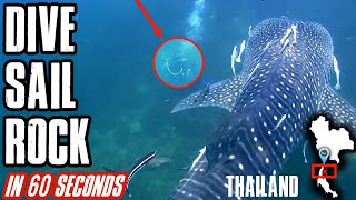 Download Lagu How to scuba dive Sail Rock, Thailand | 1 minute dive site breakdown video | Down to 60 MP3 Download Lagu How to scuba dive Sail Rock, Thailand | 1 minute dive site breakdown video | Down to 60 MP3