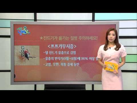 진드기가 옮기는 질병 주의하세요! [08/24] / YTN 웨더앤라이프