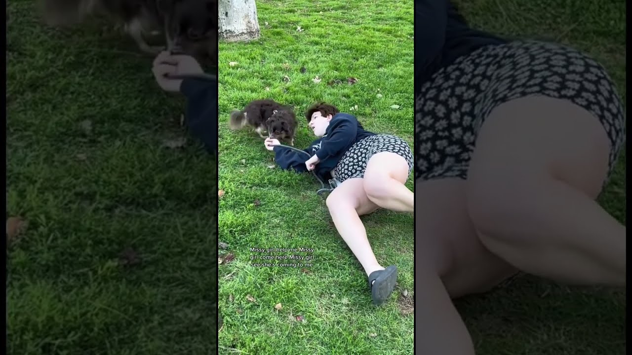 Your Grandma Teaches Her 200 Year Old Dog Tricks Kendahl Landreth