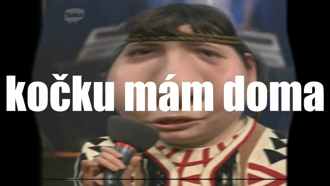 rande kočku mám doma