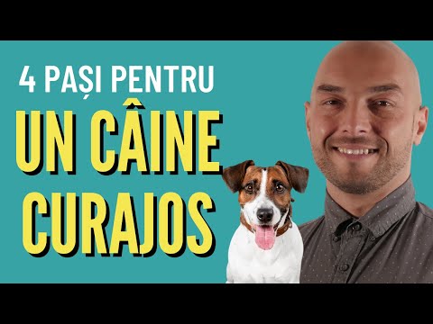 Video: Cum Să Crești Un Câine Ca