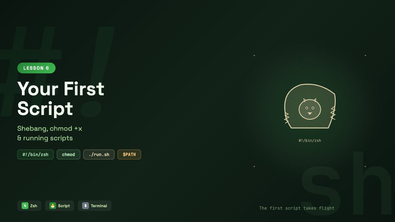 Your First Shell Script: Shebang, chmod +x & Running Scripts | Zsh ...
