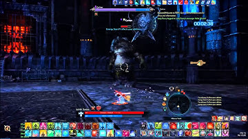 TERA Online: Fate of Arun - Alliance Vault (Solo) - Priest POV (Level 65) - Cyclops