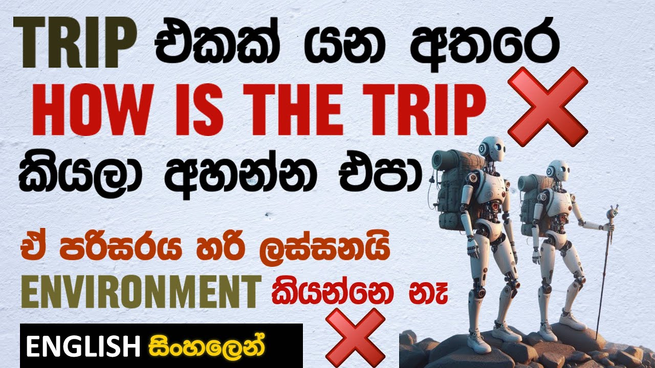 🏝️ Trip එකක් ගැන ඉංග්‍රීසියෙන් සුද්දෙක් වගේ විස්තර අහන්නෙ සහ කියන්නෙ මෙහෙමයි 🚗 | SPOKEN ENGLISH 🛤️