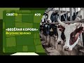 Веселая Корова: Вкусное молоко / Своё с Андреем Даниленко / Выпуск №20