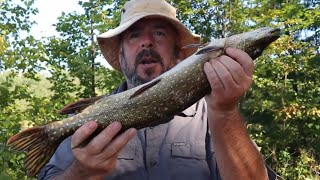 How to Fillet a Pike with No Bones. Catch and Cook! by Woodswalker 1965 1,129 views 7 months ago 11 minutes, 3 seconds