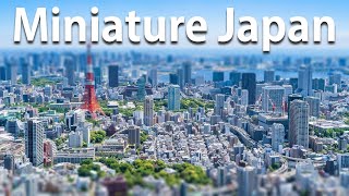 Most Popular Miniature in Japan