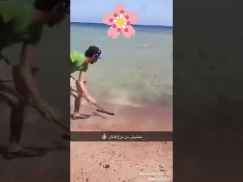 15ثانيه ضحك فقط حشيش من نوع فاخر