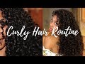 ULTRA DEFINED CURLY HAIR ROUTINE (Heat Damage) | Natural Hair