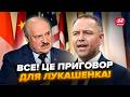 ⚡Почалось! ЖОРСТКЕ рішення Польщі все змінило: Лукашенко ТАКОГО НЕ ЧЕКАВ. Навіть Китай б'є НА СПОЛОХ