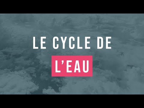 Vidéo: Comment pensez-vous que la nature cohésive de l'eau est liée à son évaporation ?