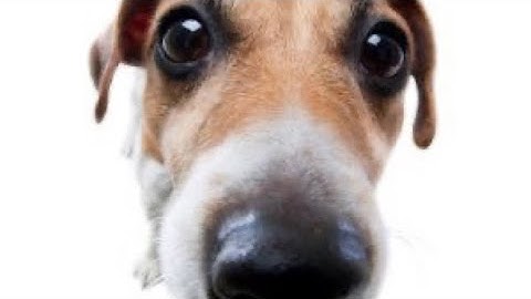 My Part in Abyss of Darkness