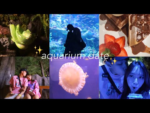 aquarium date✨ vior vincent vlog!