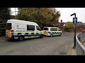 Immigration raid at Ashford barber shop