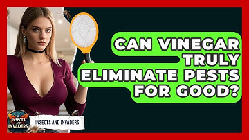 Can Vinegar Truly Eliminate Pests For Good? - Insects and Invaders