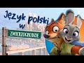 26 некультурних польських слів 😱! Уроки польської мови зі Звірополісом.